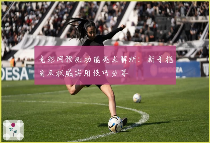竞彩网预测功能亮点解析：新手指南及权威实用技巧分享